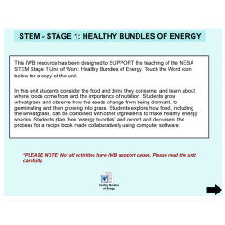 STEM: Healthy Bundles of Energy